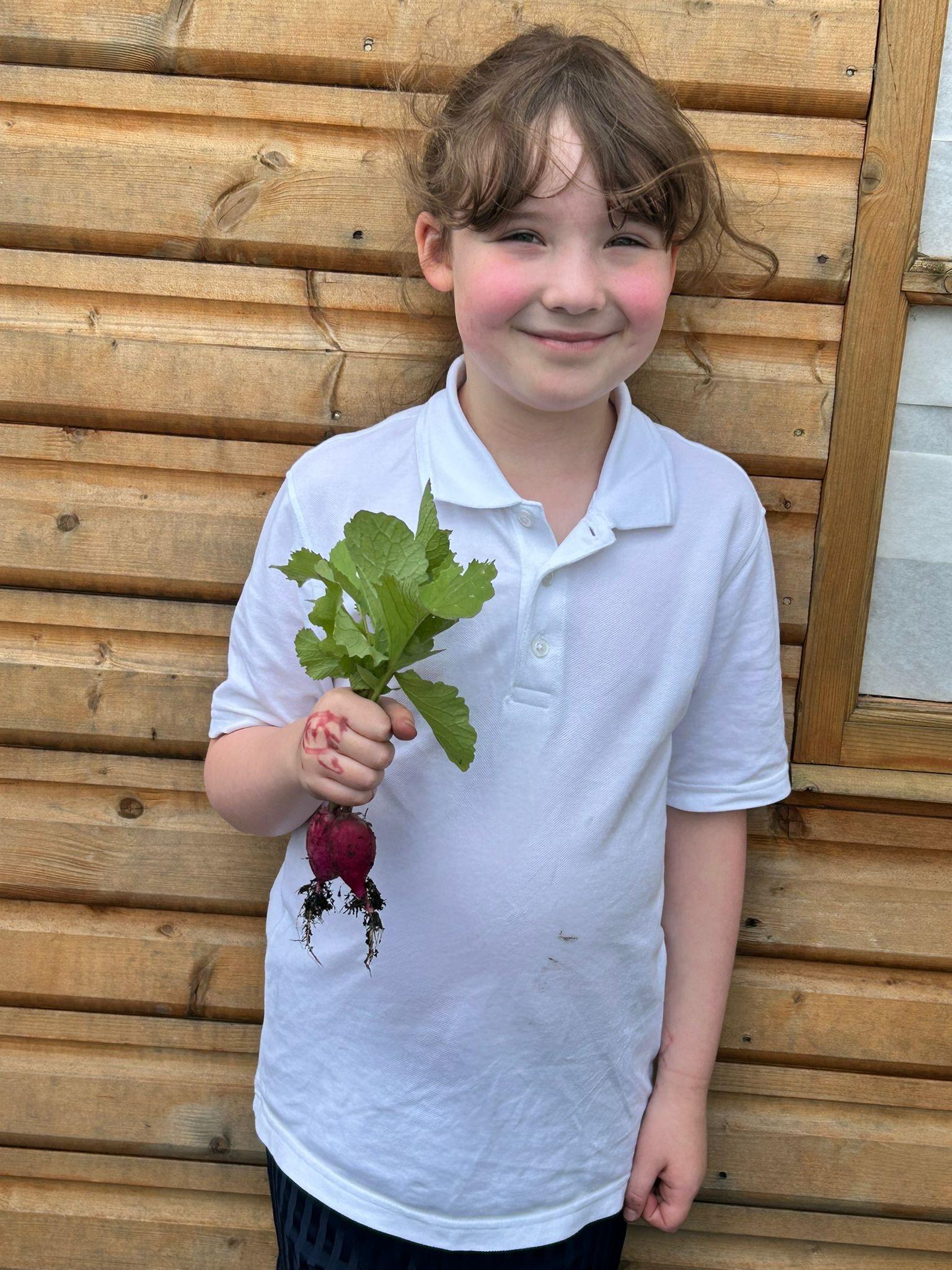 Elinor with her radishes to take home and eat. Grown from seed and harvested!